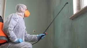 Mold Odor Removal Services in Tulia, TX