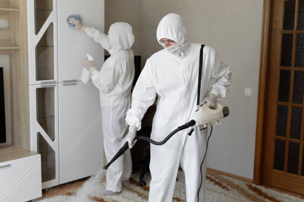 Best Asbestos and Lead Testing During Mold Inspection  in Tulia, TX